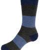 Noble Wilde Hoop Socks