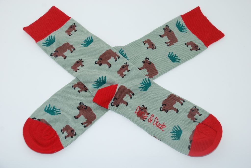 Doris & Dude Bamboo Socks Sage Bison
