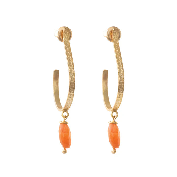 A Beautiful Story Attracted Earrings