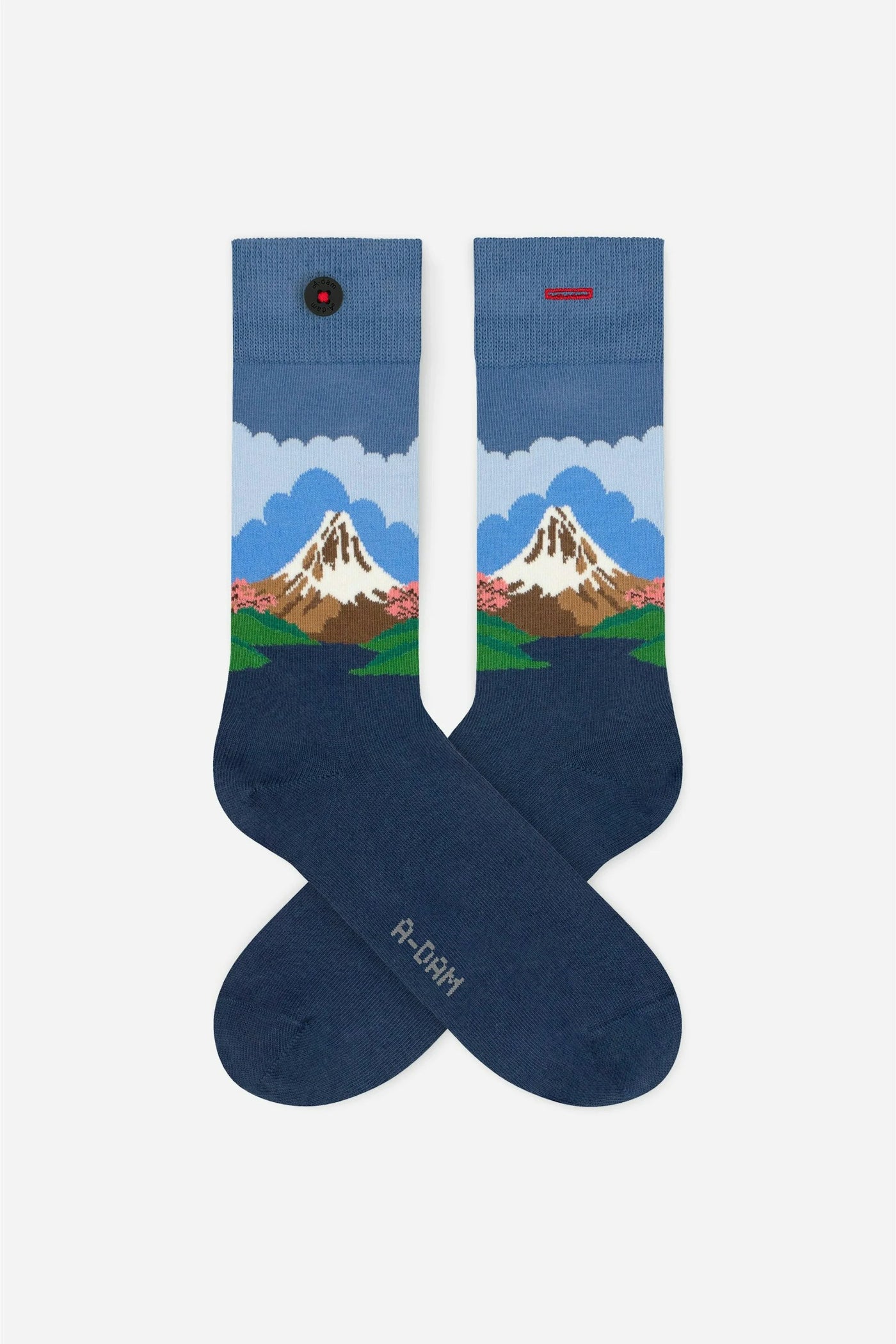 SOCKS-FUJI