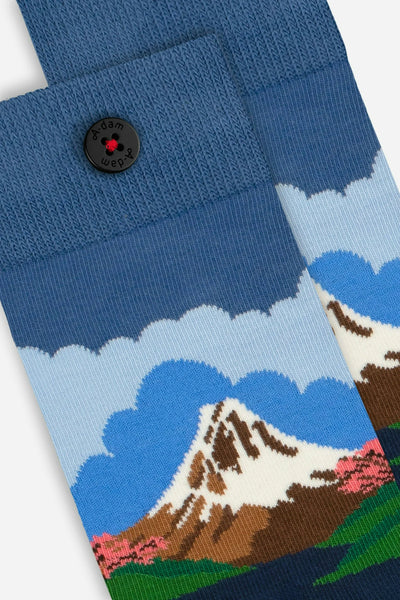 SOCKS-FUJI