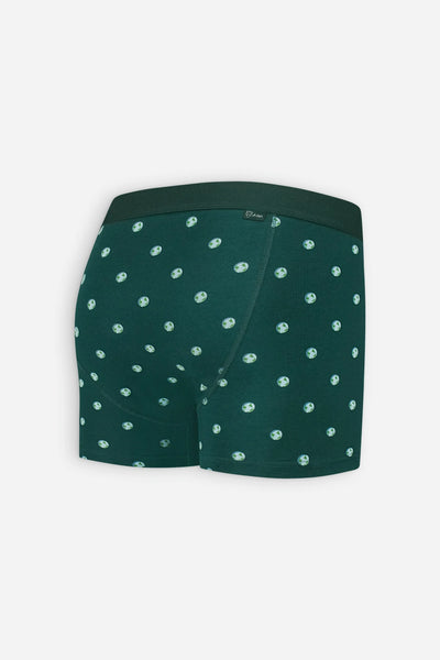 A-dam BOXER-BRIEFS EARTH