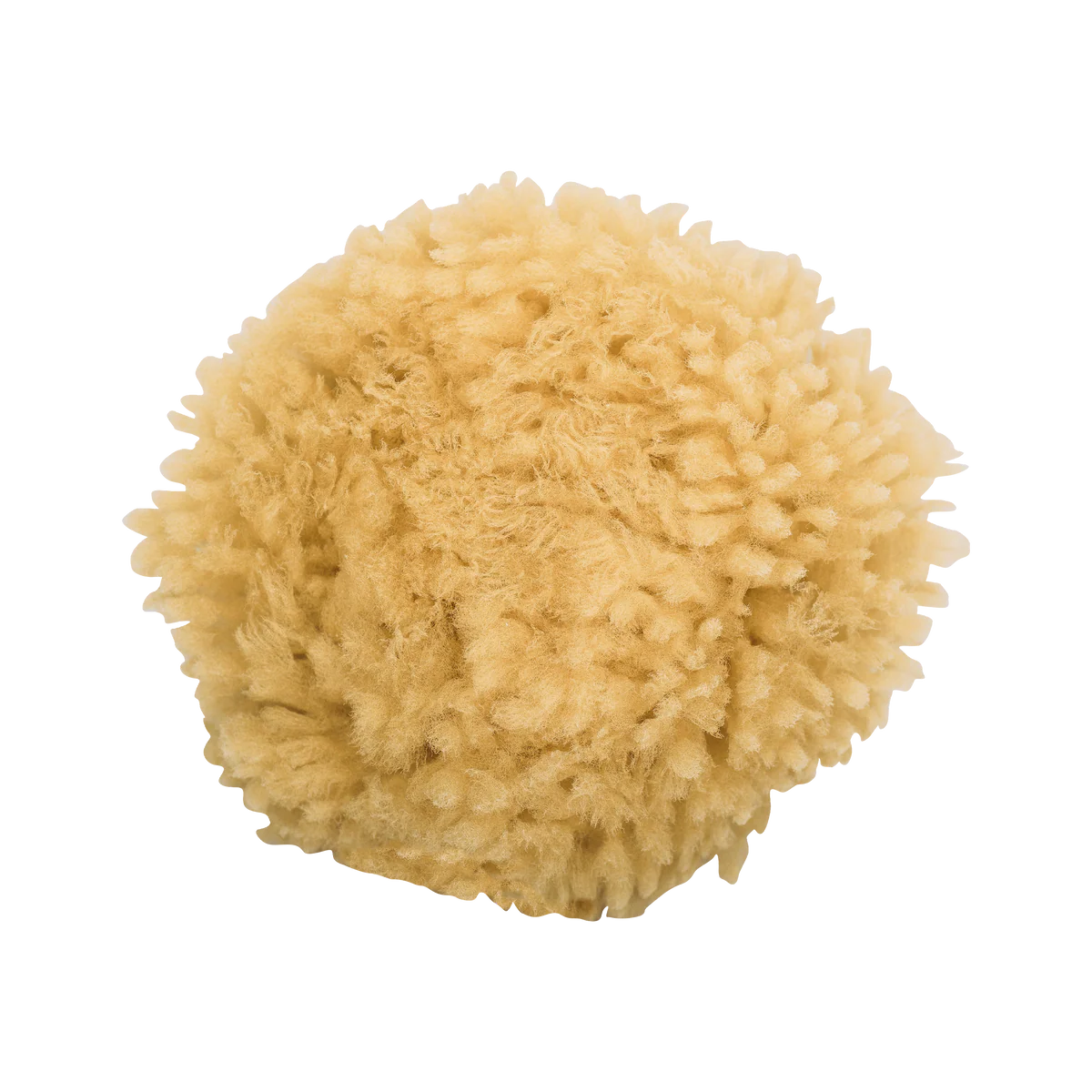 Niyok Körperschwamm