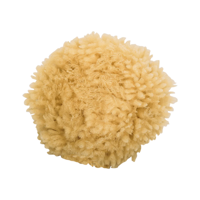 Niyok Körperschwamm