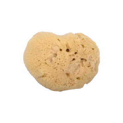 Niyok Baby & Kinderschwamm