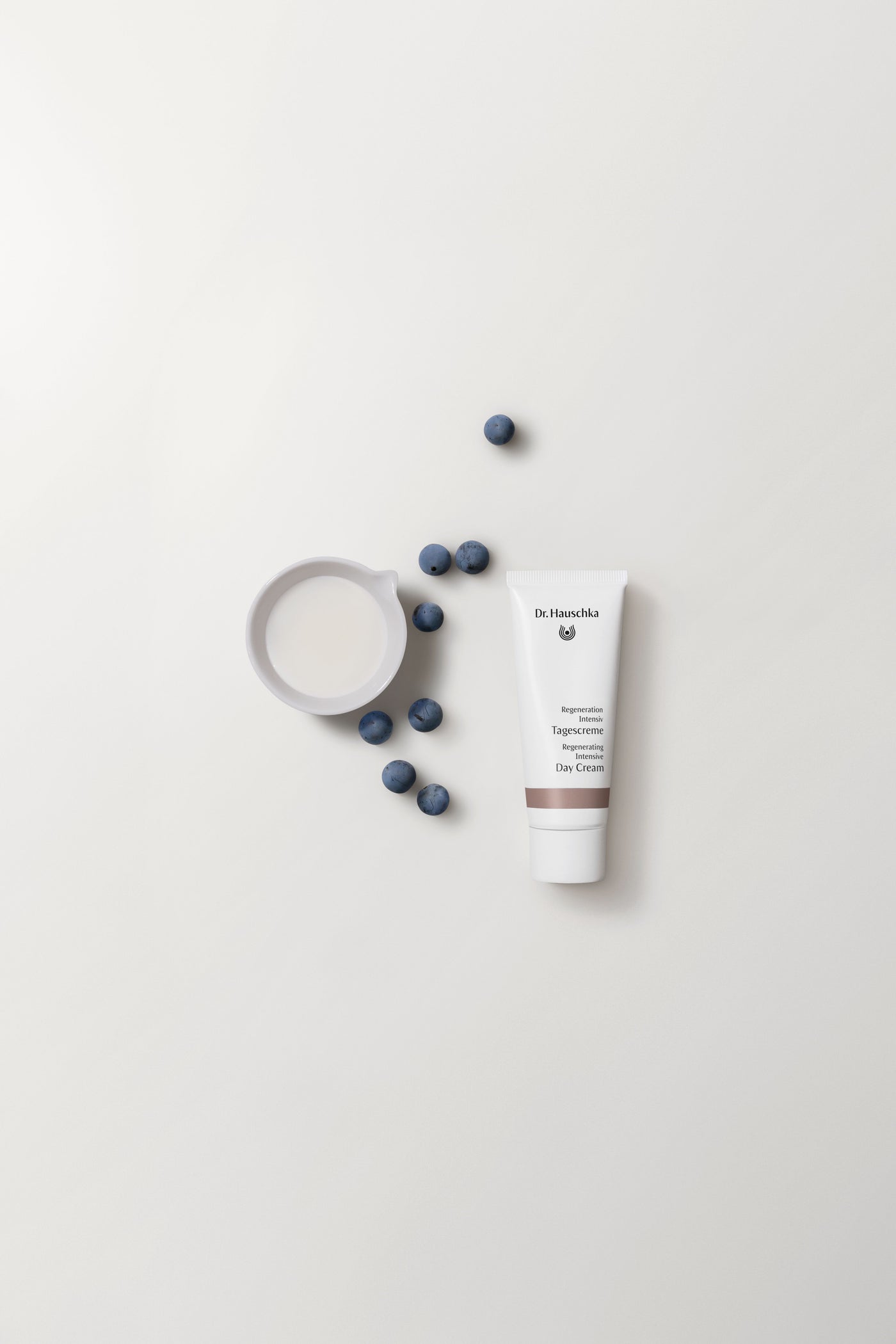 Dr. Hauschka Regeneration Tagescreme Intensiv 40 ml