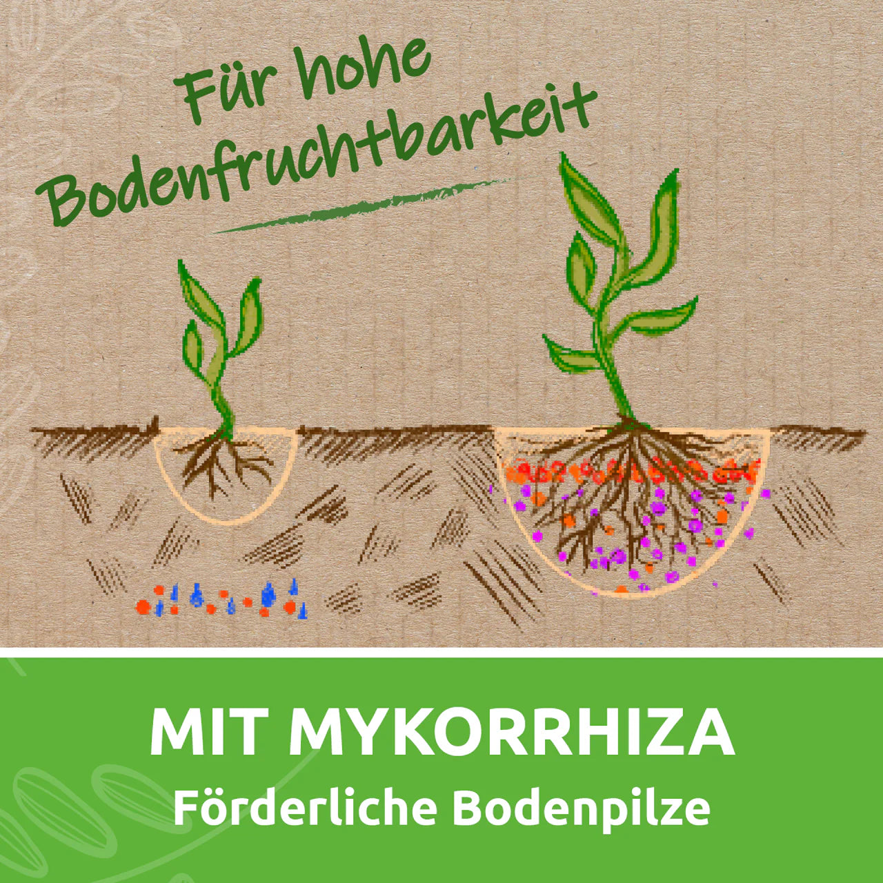 EM Schwarzes Gold Forte