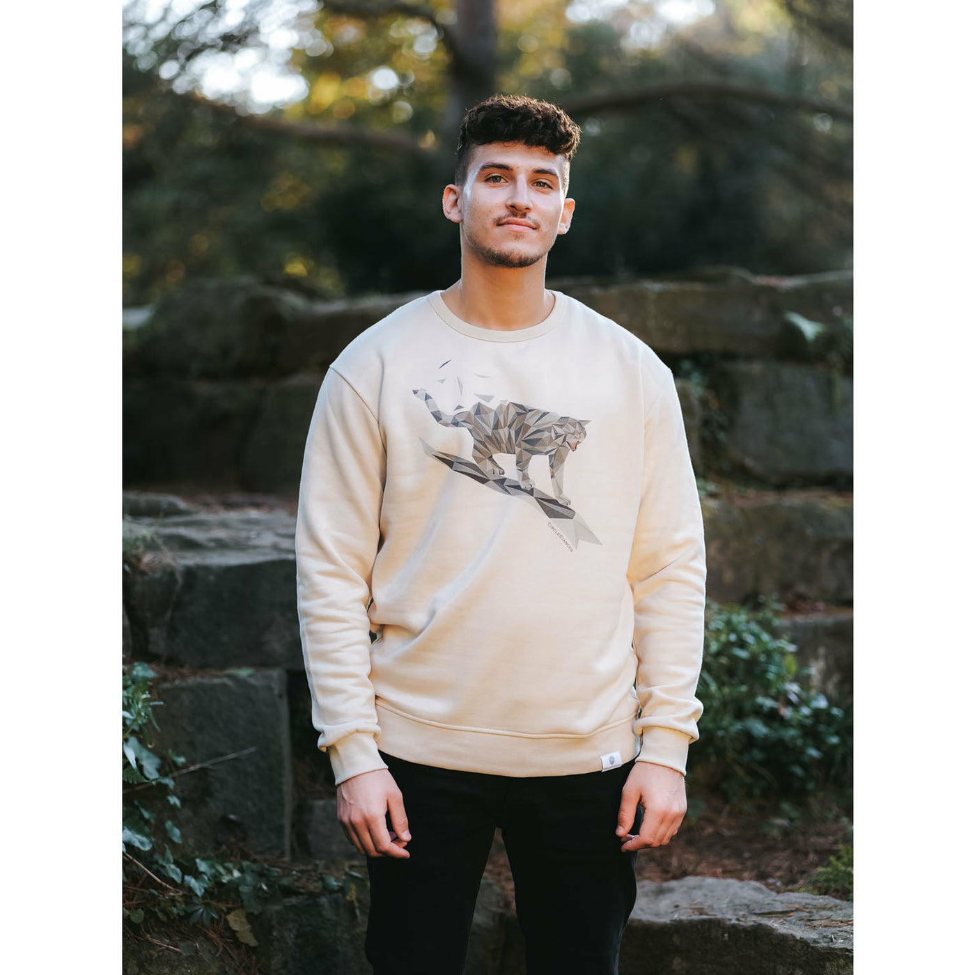 Wildkatzen Sweater Big